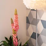 Appartement Le Nivosgien, Centre