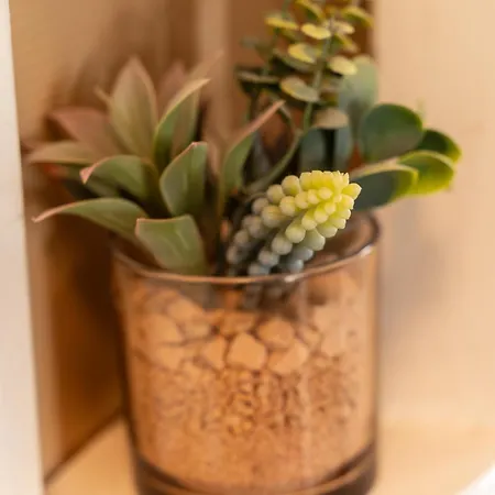 Le Nivosgien, Centre Apartman